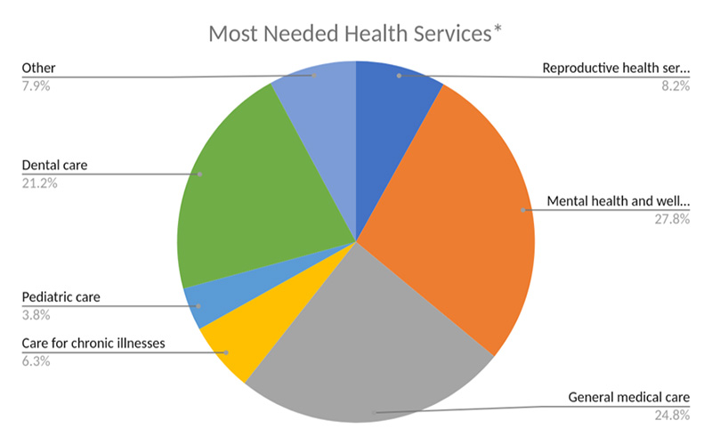 Chart shoing most needed health services.